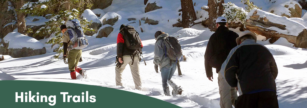 Hiking Trails Banner